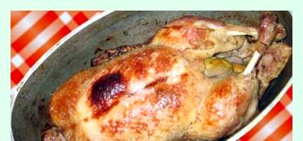 Как готовить утку с яблоками (готовить, утка, яблоко, утиного мяса, мясо утки, утку яблоками) Как готовить утку с яблоками