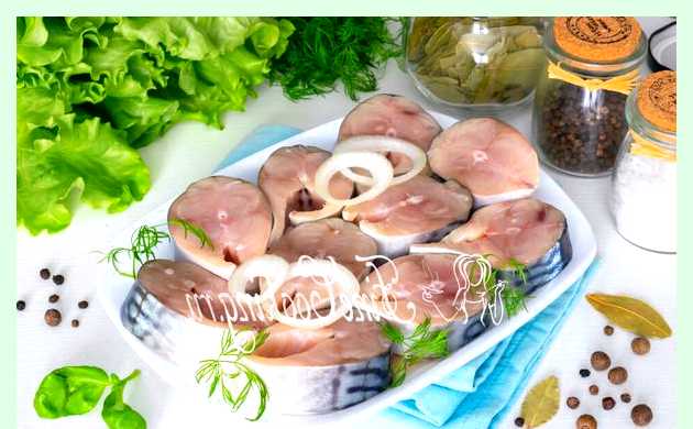 Скумбрия в рассоле рецепт скумбрию пряного посола по этому Скумбрия в рассоле рецепт скумбрию пряного посола по этому